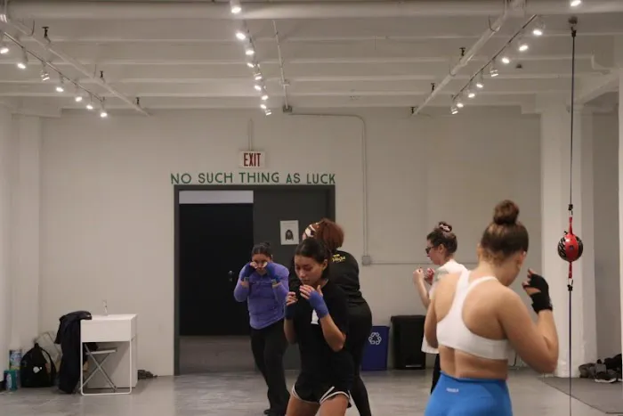 Dark Horse Gym Picture 6