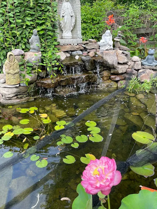 Red Lotus Healing Center Picture 1