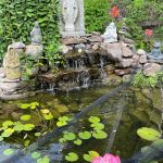 Red Lotus Healing Center