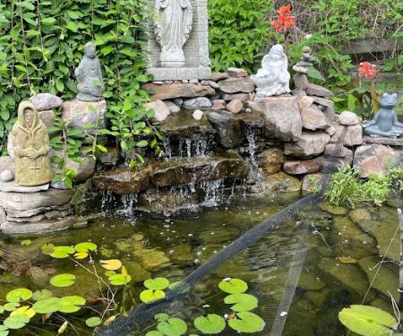 Red Lotus Healing Center