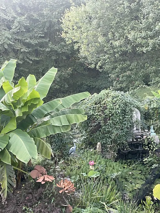 Red Lotus Healing Center Picture 3