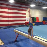 Flip Star Gymnastics Academy: Team Campus ico