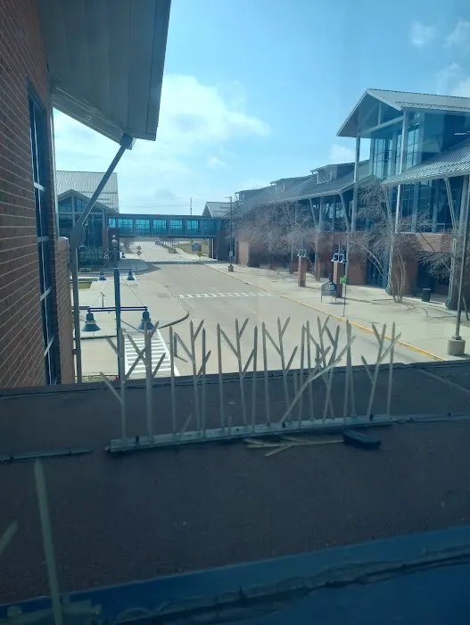 Heartland Community College Fitness and Recreation Center Picture 6