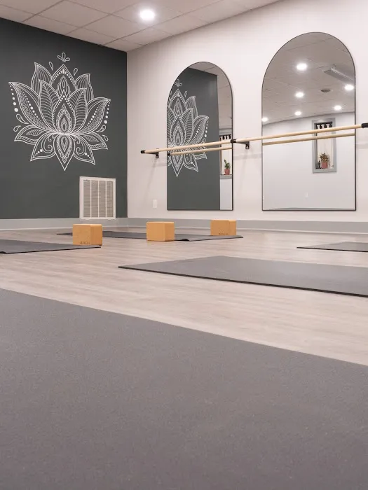 Collective Flow Yoga, Pilates,and Barre Picture 4