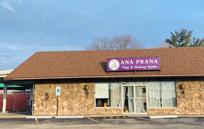 Anaprana Healing Studio Picture 1