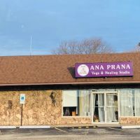 Anaprana Healing Studio ico