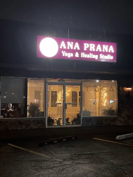 Anaprana Healing Studio Picture 3