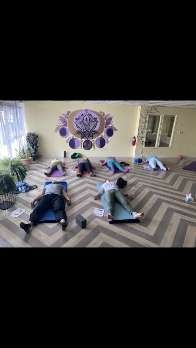 Anaprana Healing Studio Picture 8