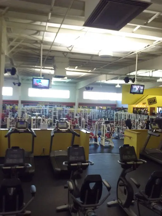 Gold's Gym Picture 8