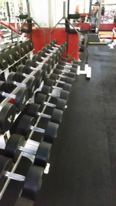 Gold's Gym Picture 7