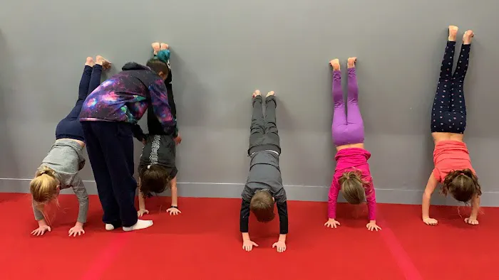 Spark Gymnastics Center Picture 7