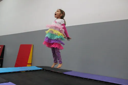 Spark Gymnastics Center Picture 2