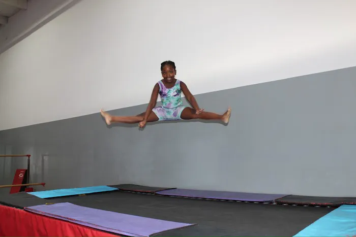 Spark Gymnastics Center Picture 5