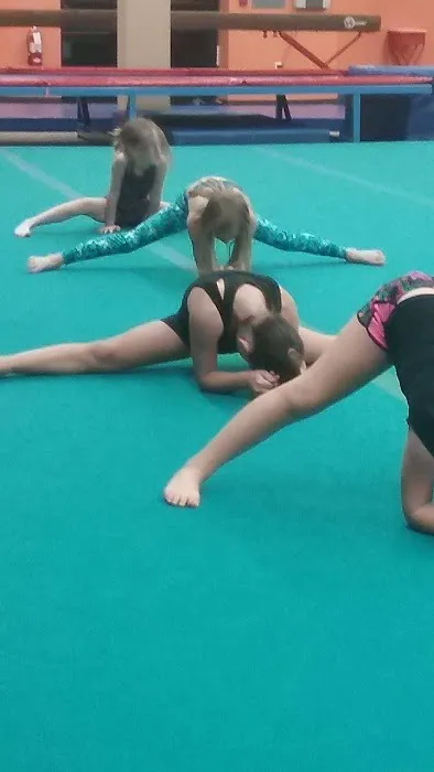 Aerial Athletics LLC Picture 1