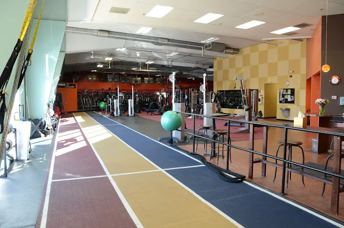 The Workout Company Picture 9