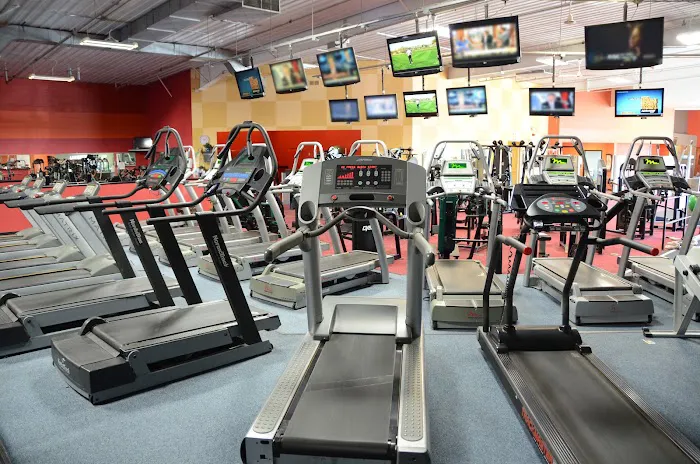 The Workout Company Picture 3