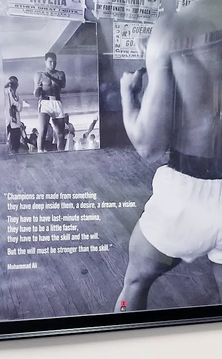 Anytime Fitness Picture 5