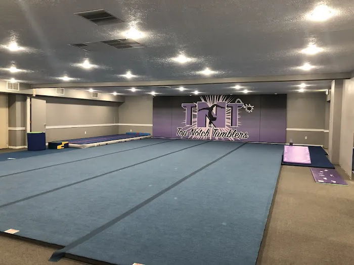 Top Notch Tumblers Picture 2