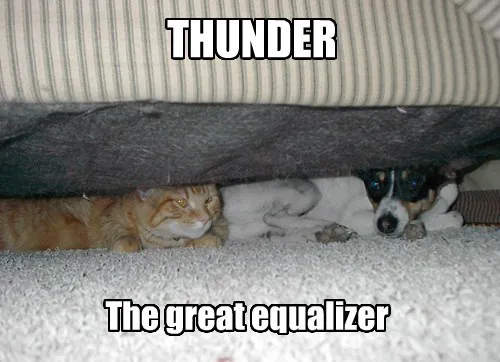 Thunderdome Picture 2