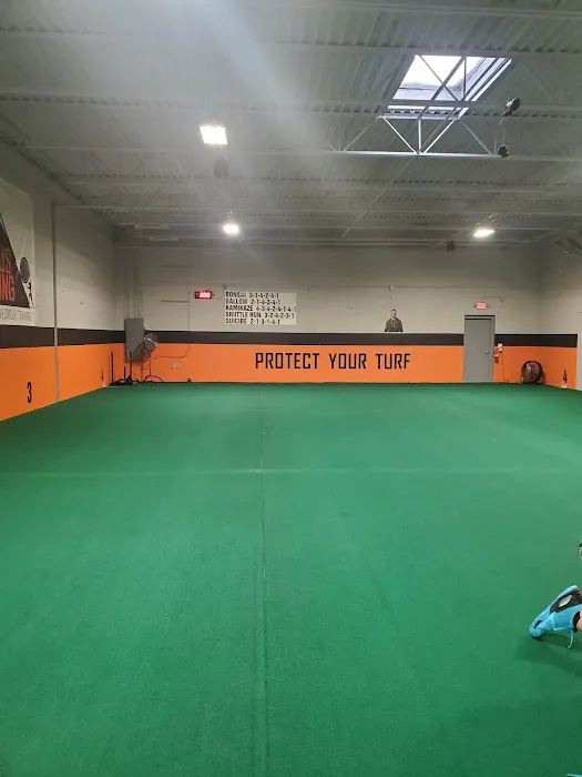 Syphus Training Picture 1