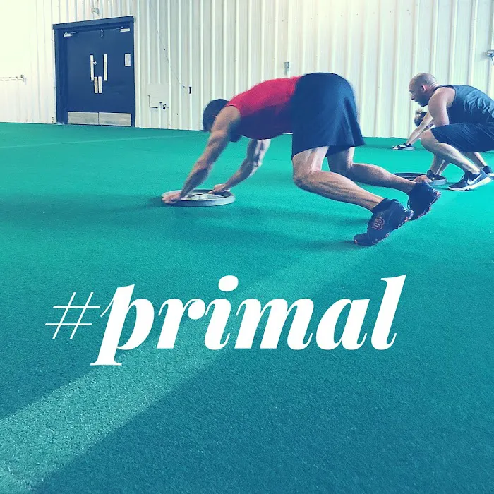 Syphus Training Picture 5