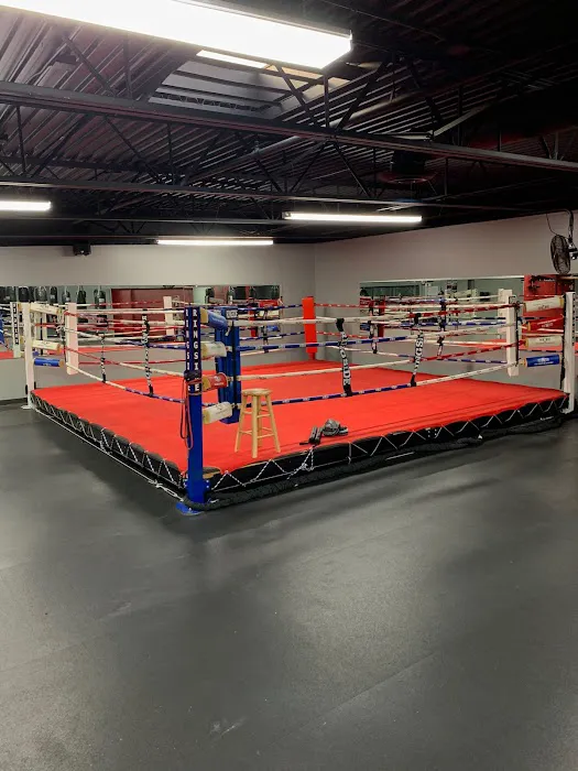 Macomb Boxing Club Picture 2