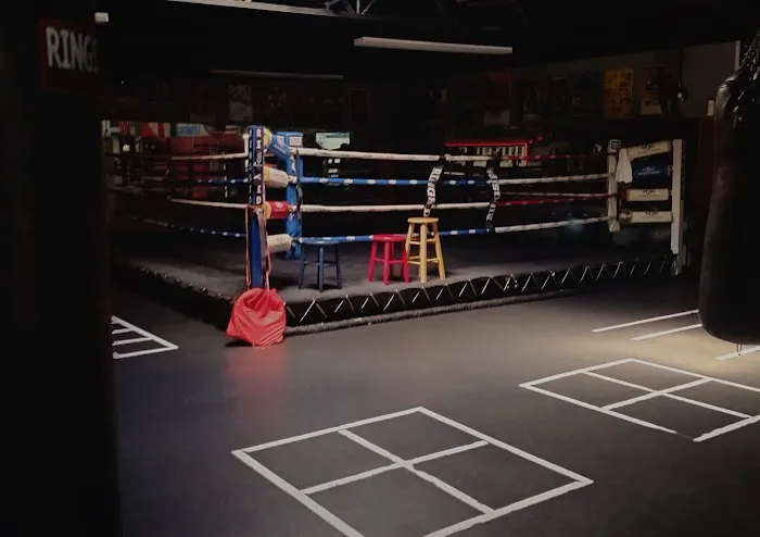 Macomb Boxing Club Picture 1