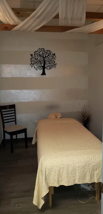 Bodhi Seed Yoga and Wellness Center Picture 3