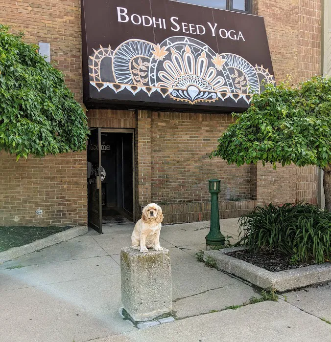 Bodhi Seed Yoga and Wellness Center Picture 1