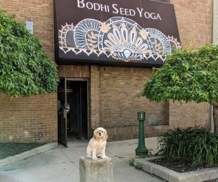 Bodhi Seed Yoga and Wellness Center