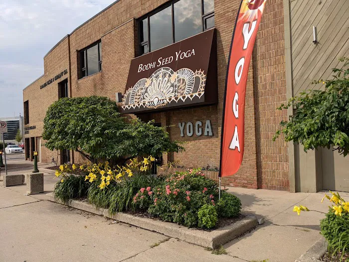 Bodhi Seed Yoga and Wellness Center Picture 6