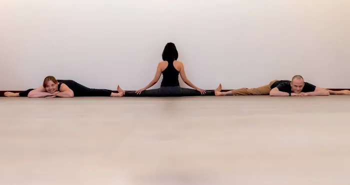 Bodhi Seed Yoga and Wellness Center Picture 8