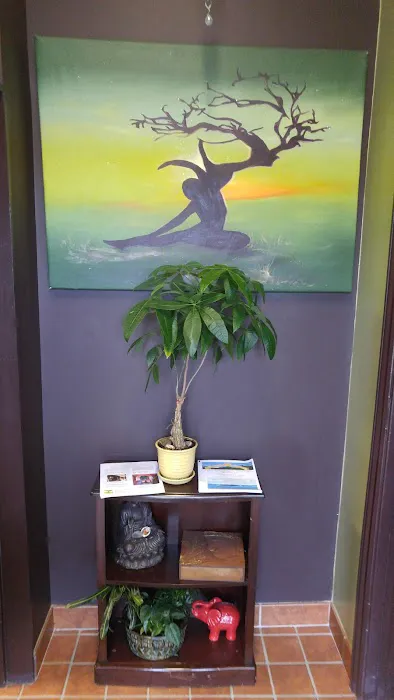 Bodhi Seed Yoga and Wellness Center Picture 7