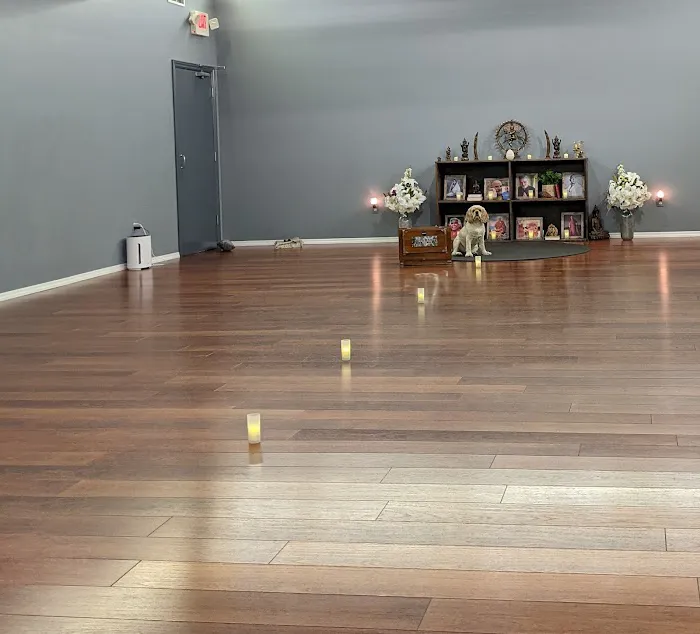 Bodhi Seed Yoga and Wellness Center Picture 10