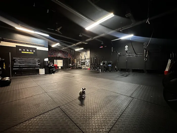 PREMETEAM Hyrox Training club Picture 9