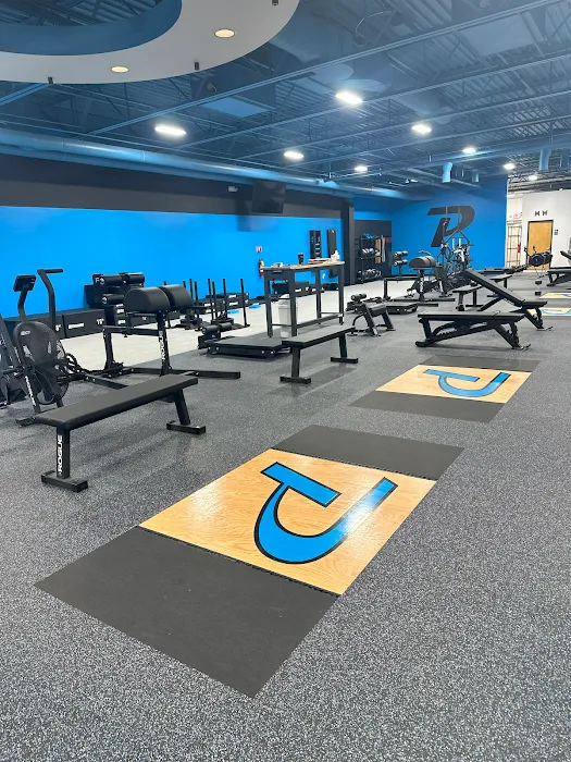 Phyx Performance Troy Picture 1