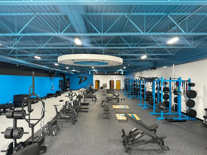 Phyx Performance Troy Picture 7