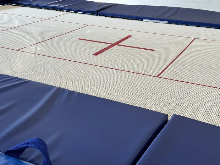 Motor City Gymnastics Picture 3