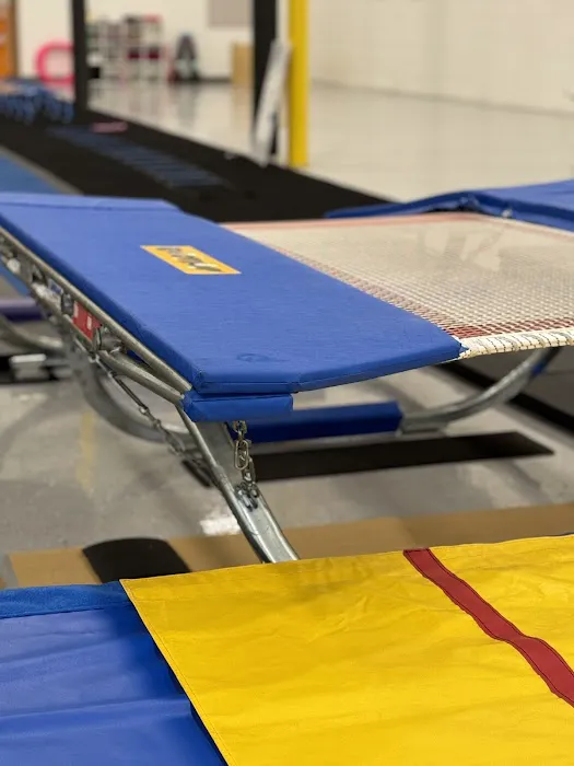 Motor City Gymnastics Picture 5