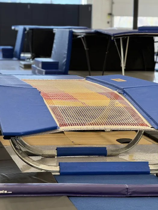 Motor City Gymnastics Picture 2