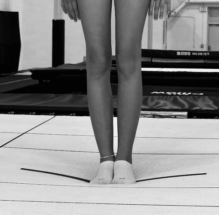 Motor City Gymnastics Picture 4