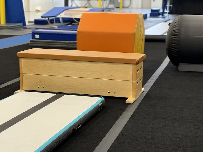 Motor City Gymnastics Picture 6