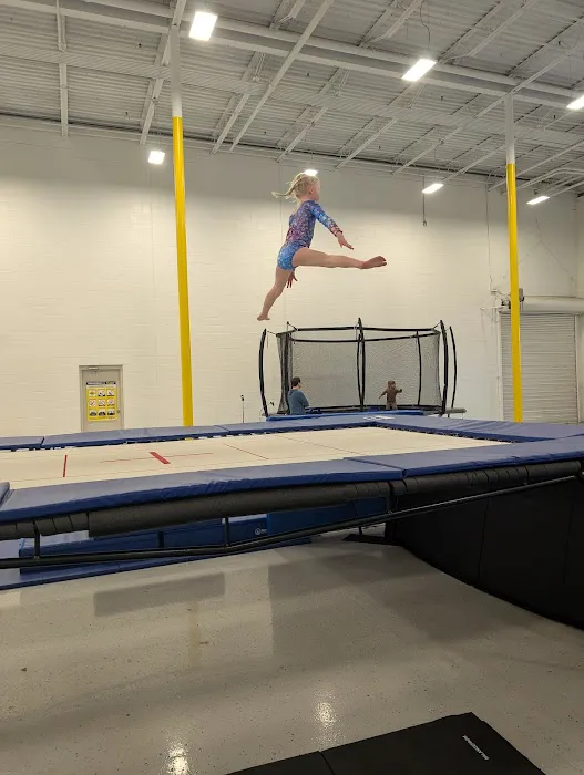 Motor City Gymnastics Picture 7