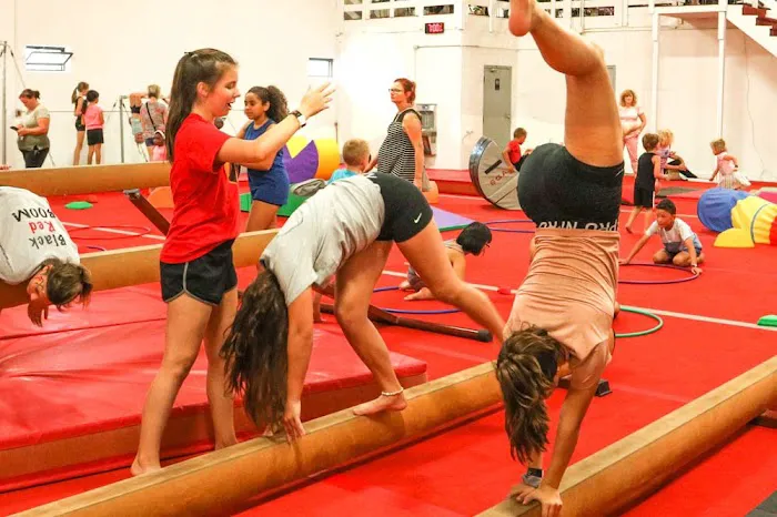 Sterling Gymnastics Academy Picture 3