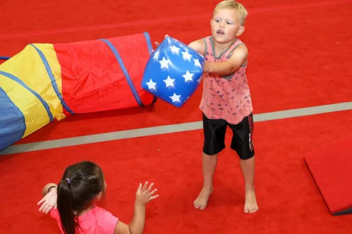 Sterling Gymnastics Academy Picture 1