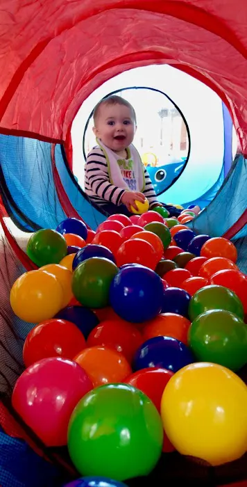 Sterling Gymnastics Academy Picture 5