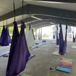 Warrior One Yoga Studio