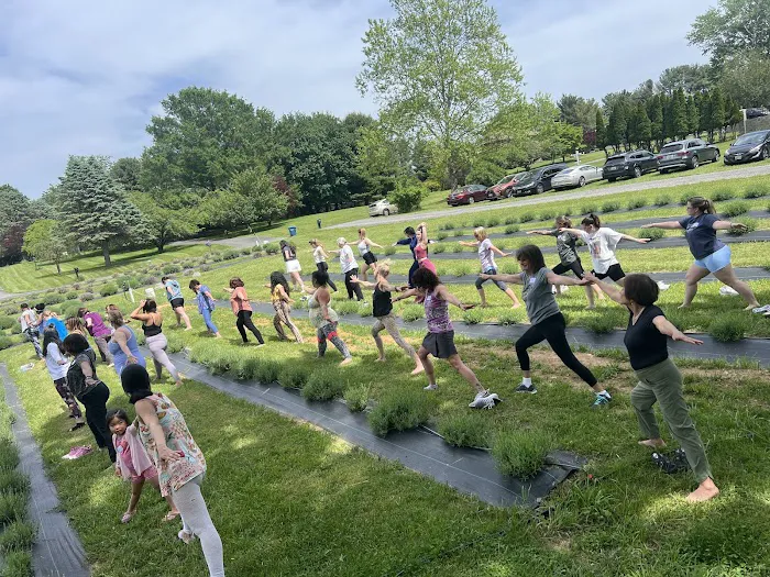 Warrior One Yoga Studio Picture 2