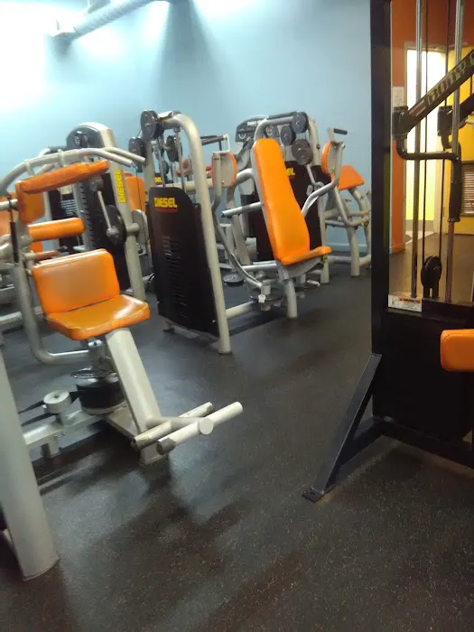 Pilsen's Gym Inc Picture 1