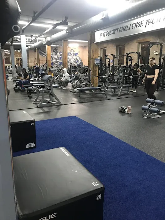 Pilsen's Gym Inc Picture 6